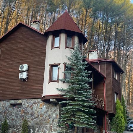 Elf-Cottage Tur'ya Paseka エクステリア 写真