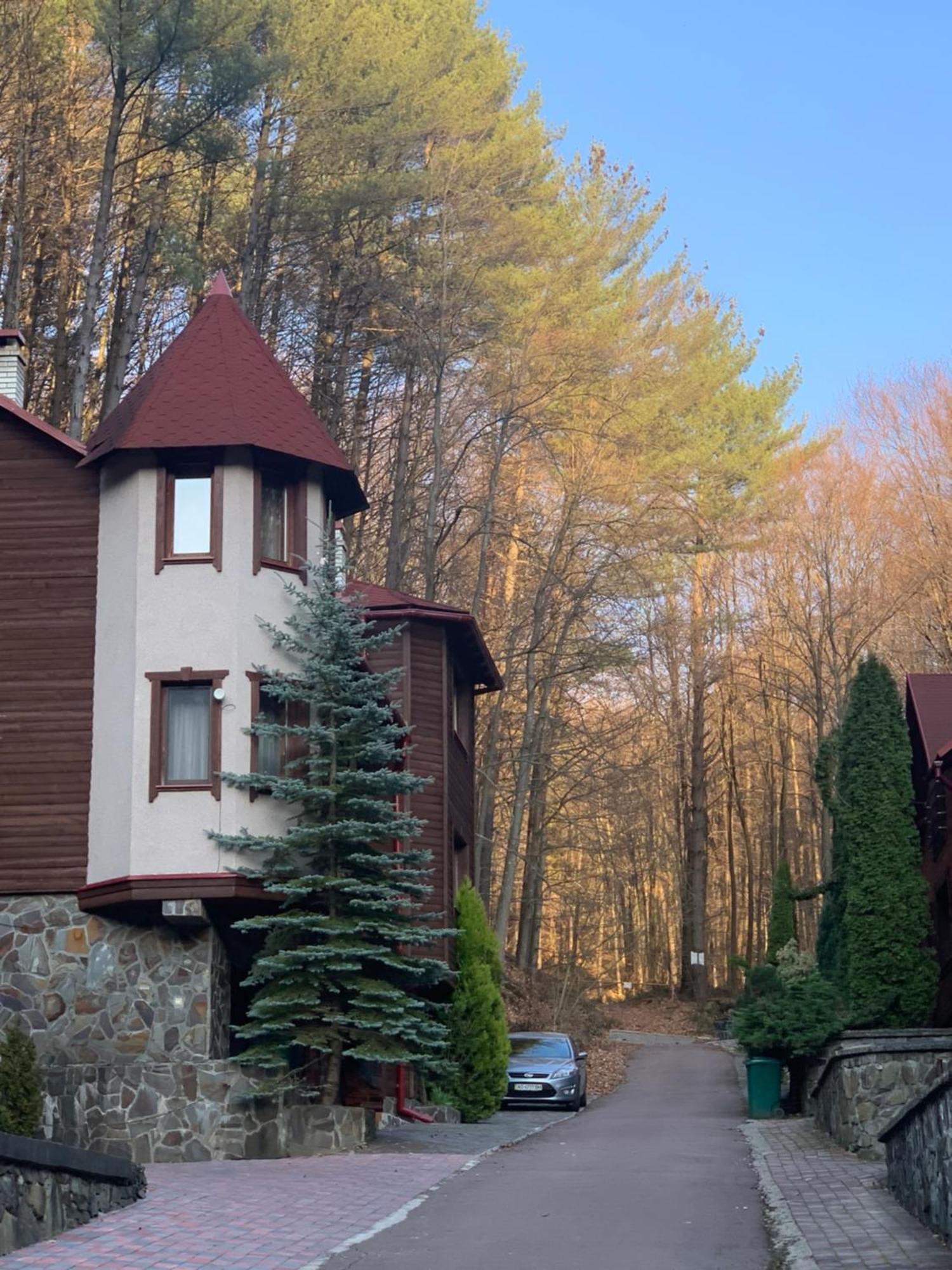 Elf-Cottage Tur'ya Paseka エクステリア 写真