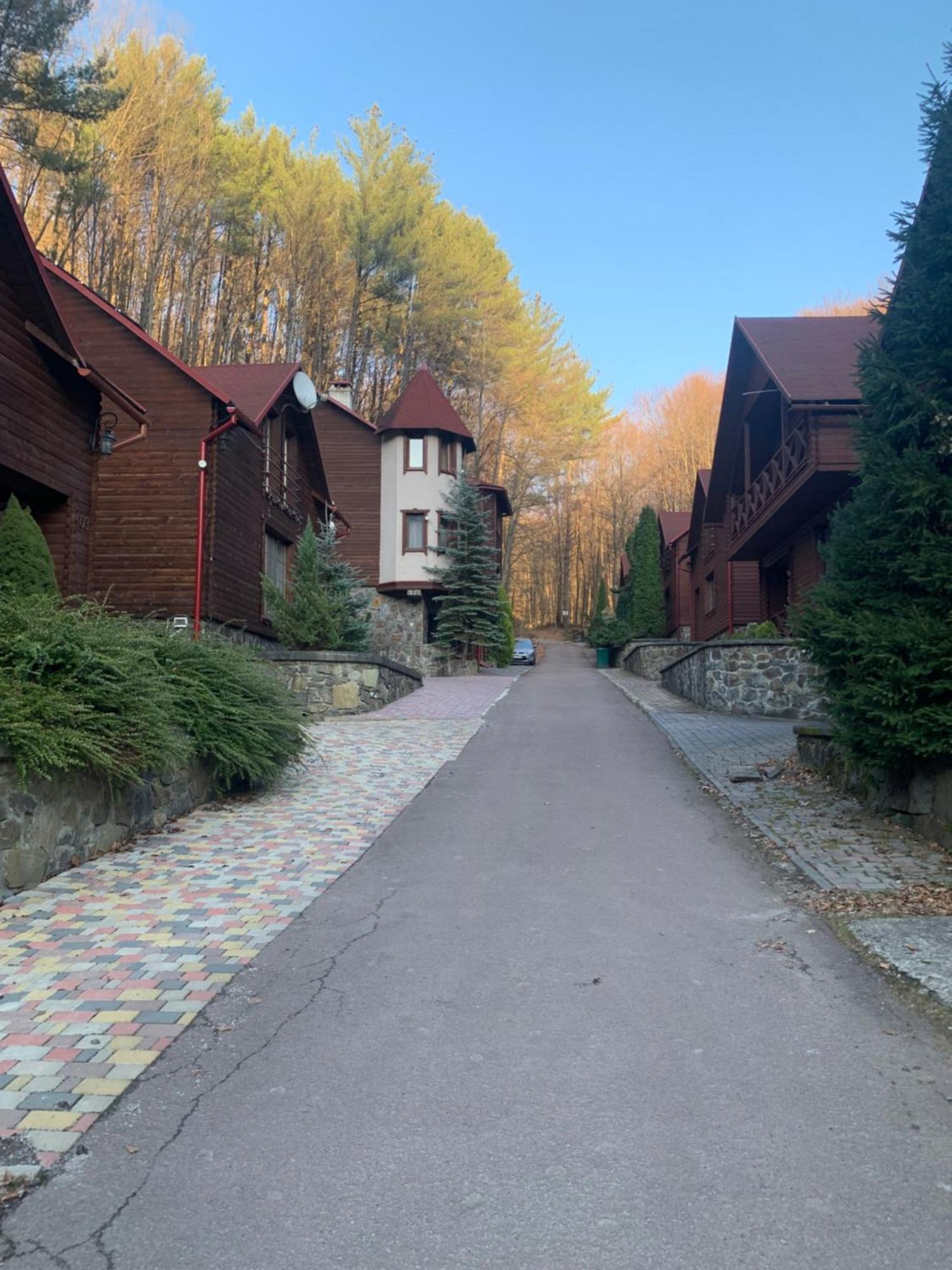Elf-Cottage Tur'ya Paseka エクステリア 写真